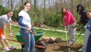 Community Garden