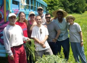 A few WESPAC members volunteered their time at the Wassaic Community Farm on Saturday, June 22nd, 2013