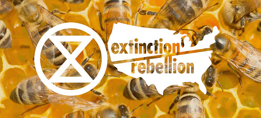 Extinction Rebellion US National Open House