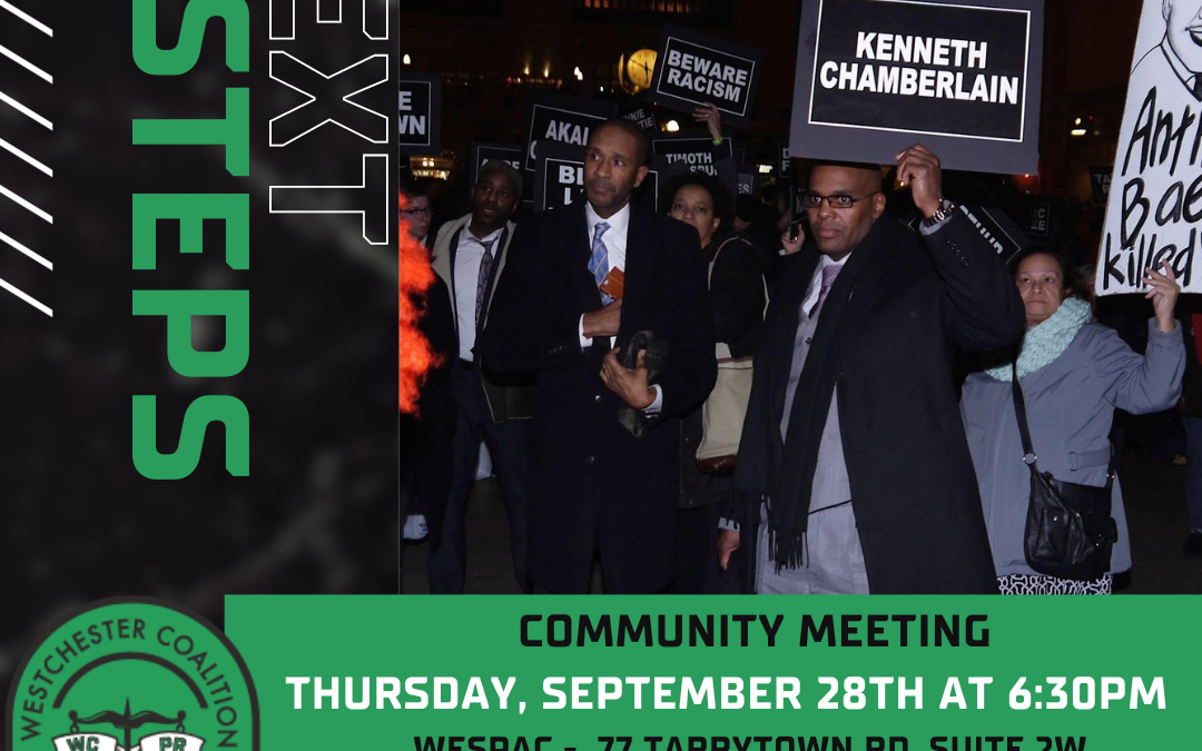 Next Steps in Police Accountability: A WCPR Community Conversation