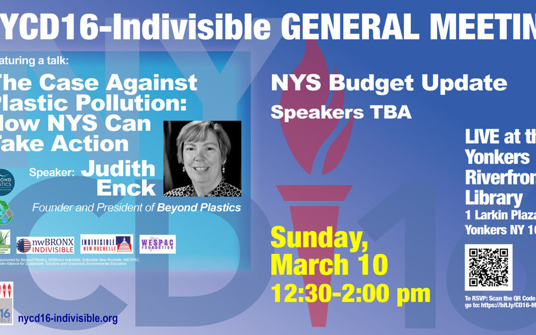 The Case Against Plastic Pollution and how we can take action – NYCD16-Indivisible General Meeting